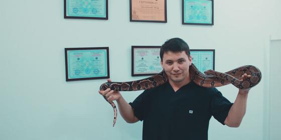 Массаж змеями стали делать в Алматы Массаж змеями стали делать в Алматы
