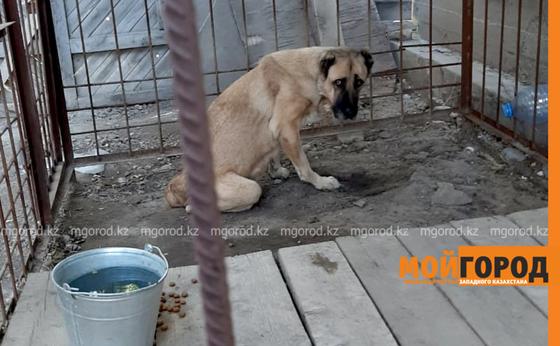 Фото: Мой город Фото: Мой город