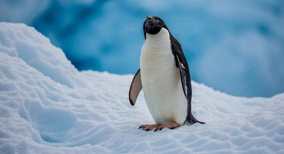 Фото: bigpicture.ru Фото: bigpicture.ru