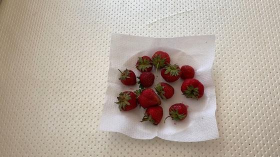 Мытая клубника Мытая клубника