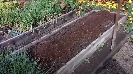Отгороженная небольшая грядка с перегноем Отгороженная небольшая грядка с перегноем