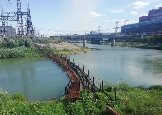 Мертвую девушку обнаружили рабочие в Павлодарской области Мертвую девушку обнаружили рабочие в Павлодарской области