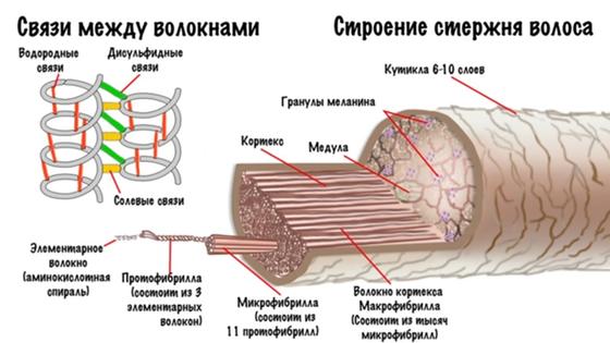 Фото кератин состав