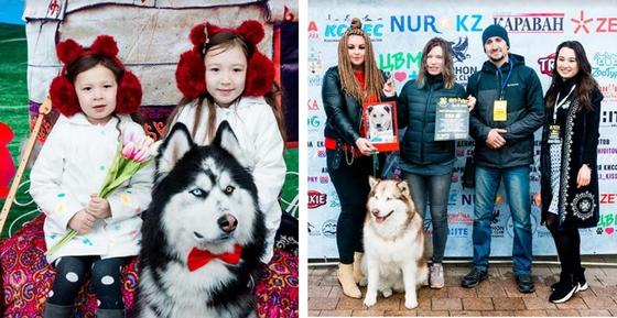Фотосессия в поддержку приюта "Дос" Фотосессия в поддержку приюта "Дос"