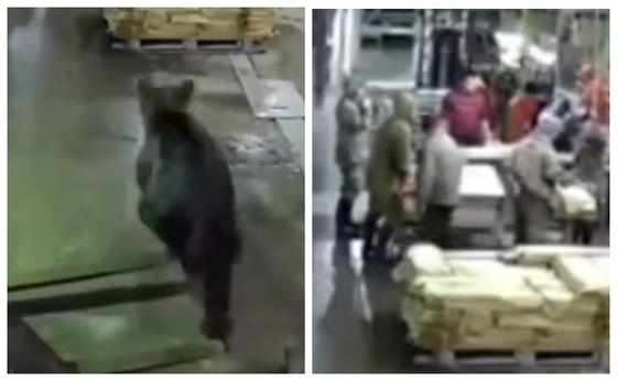 Видеодан кадр Видеодан кадр