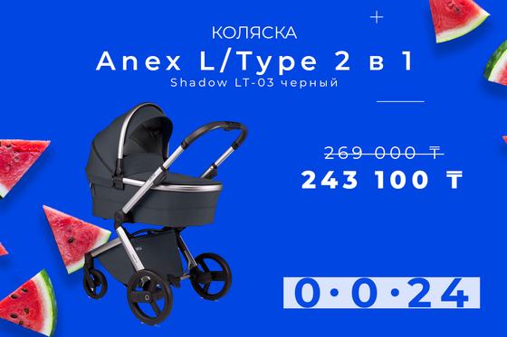 Anex L type 2 в 1 Anex L type 2 в 1