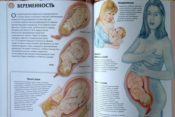 Как узнать беременность без теста в домашних условиях Как узнать беременность без теста в домашних условиях