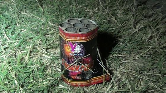 Предложение руки и сердца обернулось пожаром на кладбище в Шымкенте Предложение руки и сердца обернулось пожаром на кладбище в Шымкенте