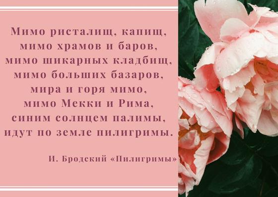 Цитата Бродского Цитата Бродского