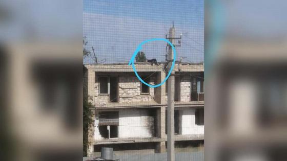 Подросток забрался на крышу Подросток забрался на крышу