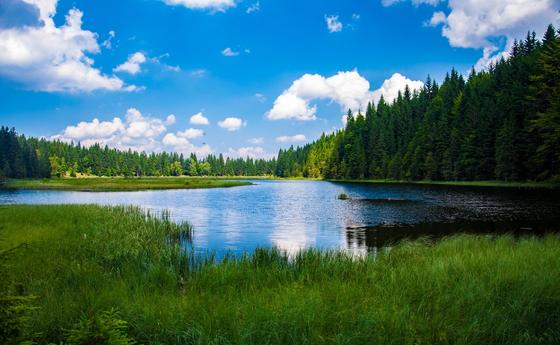 Иллюстративное фото: Pixabay.com Иллюстративное фото: Pixabay.com