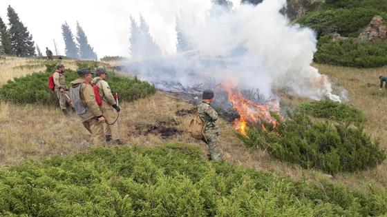 Степной пожар в Алматинской области, в котором погибли 3 человека, ликвидирован Степной пожар в Алматинской области, в котором погибли 3 человека, ликвидирован