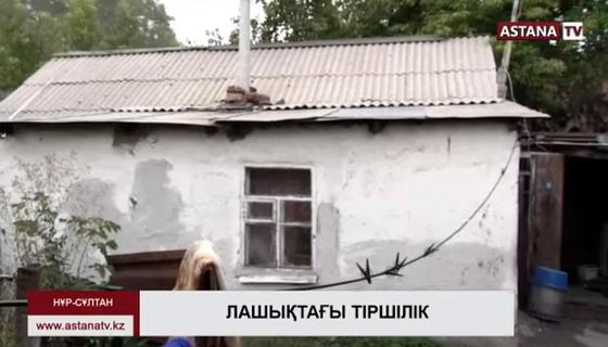 Фото: видеодан кадр Фото: видеодан кадр