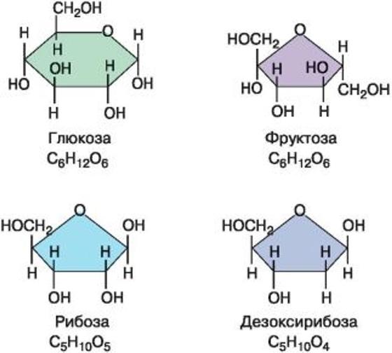 Углеводы Углеводы