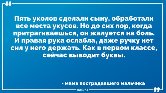 Стая бродячих собак зверски истязала 8-летнего ребенка в Акмолинской области Стая бродячих собак зверски истязала 8-летнего ребенка в Акмолинской области