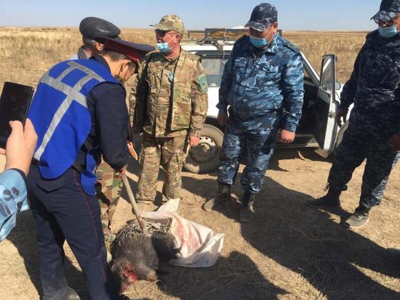 Задержание охотников в Жамбылской области Задержание охотников в Жамбылской области