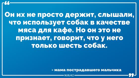 Стая бродячих собак зверски истязала 8-летнего ребенка в Акмолинской области Стая бродячих собак зверски истязала 8-летнего ребенка в Акмолинской области