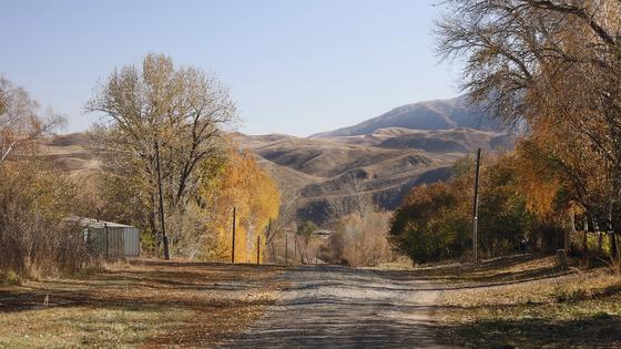 Дорога проходит через все село Дорога проходит через все село