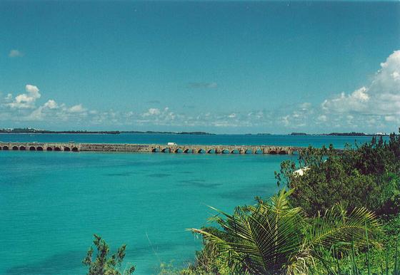 Саргассово море Саргассово море