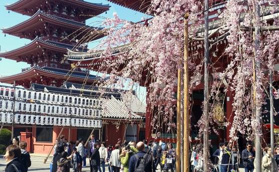 funjapan.ru funjapan.ru