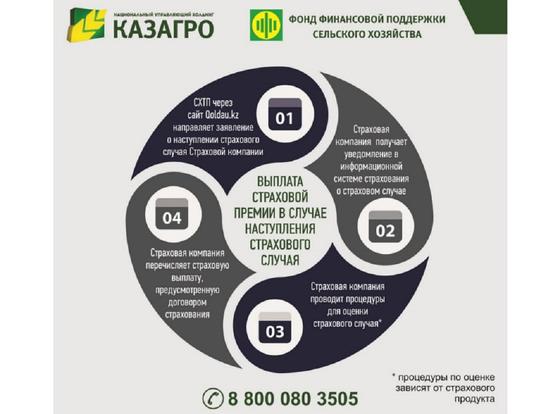 Выплаты Выплаты