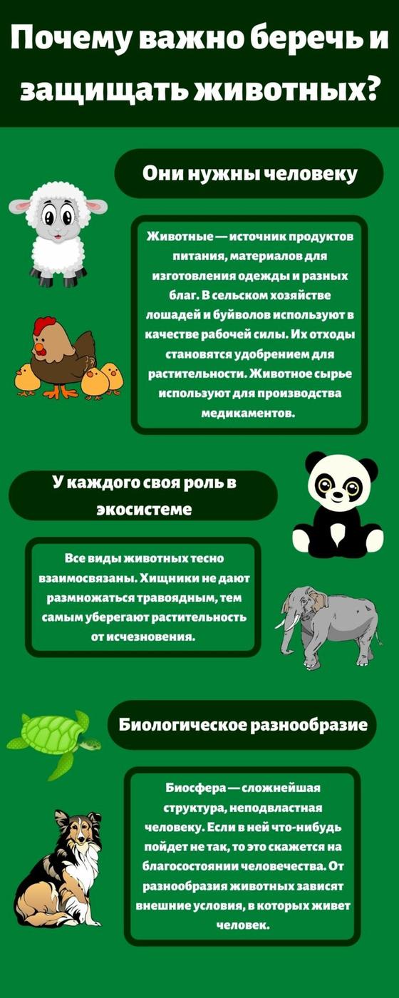 Почему важно беречь животных Почему важно беречь животных