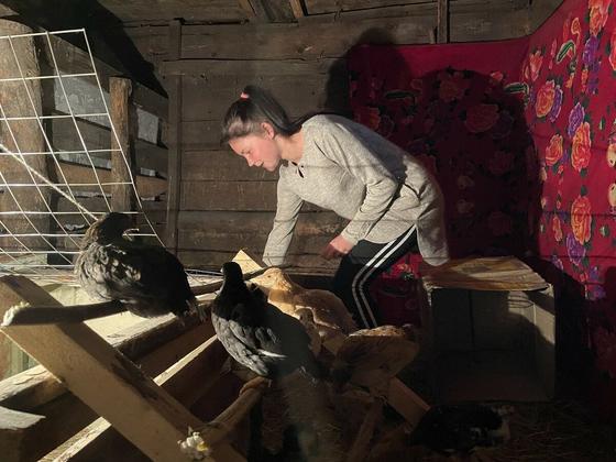 Старшая дочь Влада помогает ухаживать за живностью Старшая дочь Влада помогает ухаживать за живностью