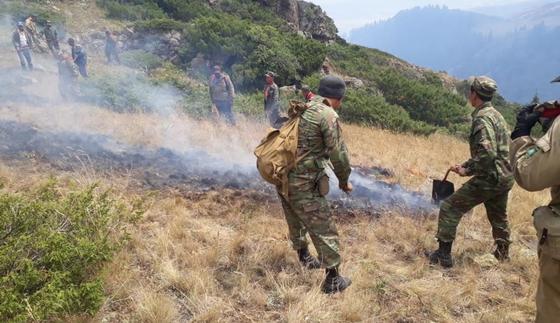 Степной пожар в Алматинской области, в котором погибли 3 человека, ликвидирован Степной пожар в Алматинской области, в котором погибли 3 человека, ликвидирован