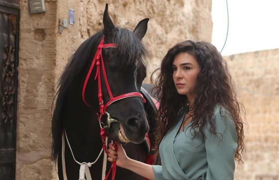 Сериал «Ветреный»: сюжет, актеры, отзывы Сериал «Ветреный»: сюжет, актеры, отзывы