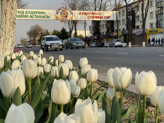 Шымкент отмечает день города Шымкент отмечает день города
