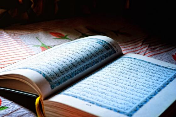 Раскрытая книга Раскрытая книга