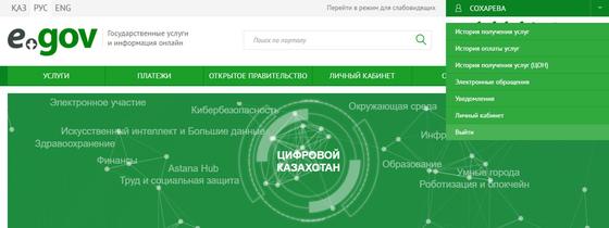 Декретные выплаты: как онлайн подать заявку работающим мамам Декретные выплаты: как онлайн подать заявку работающим мамам