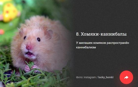 ФОТОРЕП 10 неприятных фактов, которые вам не хотелось бы узнать, но все равно придется ФОТОРЕП 10 неприятных фактов, которые вам не хотелось бы узнать, но все равно придется