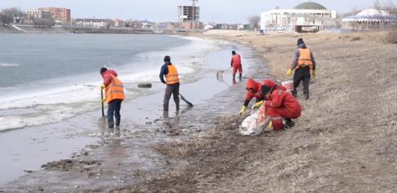 Полтонны дохлой рыбы вновь выловили в Атырау Полтонны дохлой рыбы вновь выловили в Атырау