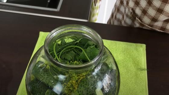 как сделать сухарики со вкусом малосольных огурцов. Смотреть фото как сделать сухарики со вкусом малосольных огурцов. Смотреть картинку как сделать сухарики со вкусом малосольных огурцов. Картинка про как сделать сухарики со вкусом малосольных огурцов. Фото как сделать сухарики со вкусом малосольных огурцов