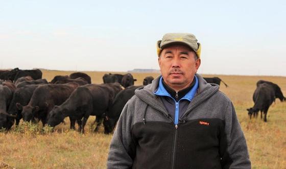 «Сыбаға»: Қарағандылық шаруалар асыл тұқымды мал сатып алу үшін қаржыландырылды «Сыбаға»: Қарағандылық шаруалар асыл тұқымды мал сатып алу үшін қаржыландырылды