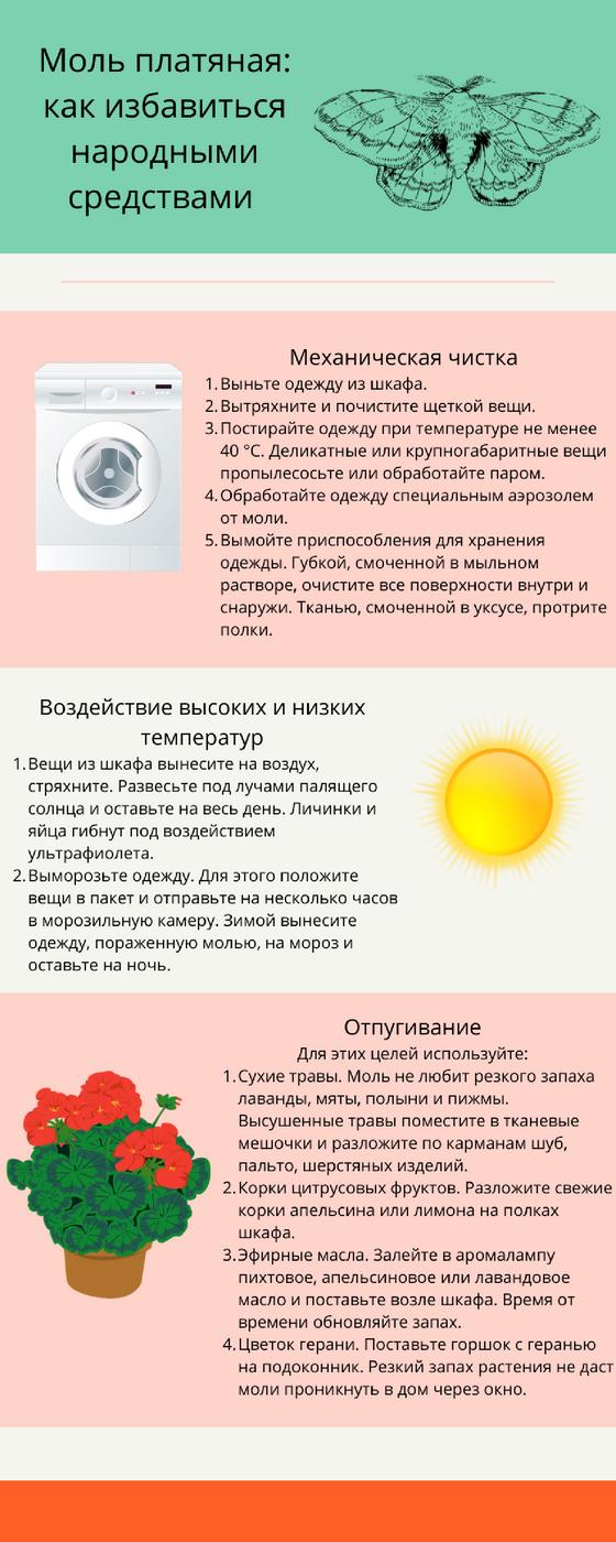 Инфографика: как избавиться от моли народными методами Инфографика: как избавиться от моли народными методами
