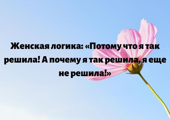 Смешные афоризмы про женщин Смешные афоризмы про женщин