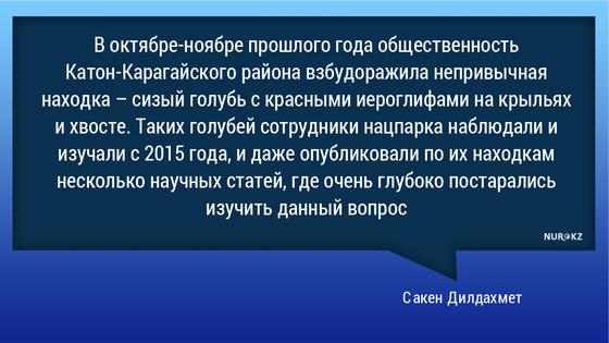 Голуби с китайскими передатчиками взбудоражили казахстанцев (фото) Голуби с китайскими передатчиками взбудоражили казахстанцев (фото)
