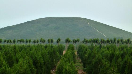 Курган Курган