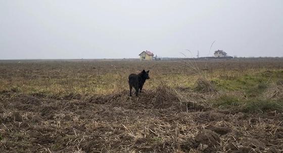 Павлодарца нашли мертвым на поле спустя месяц поисков Павлодарца нашли мертвым на поле спустя месяц поисков