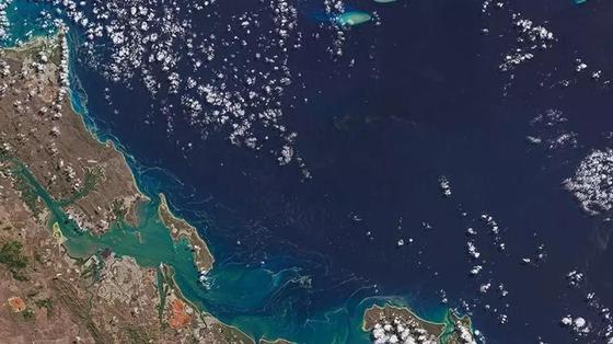 "Мертвая зона" приближается к Аравийскому морю, рассказали ученые "Мертвая зона" приближается к Аравийскому морю, рассказали ученые