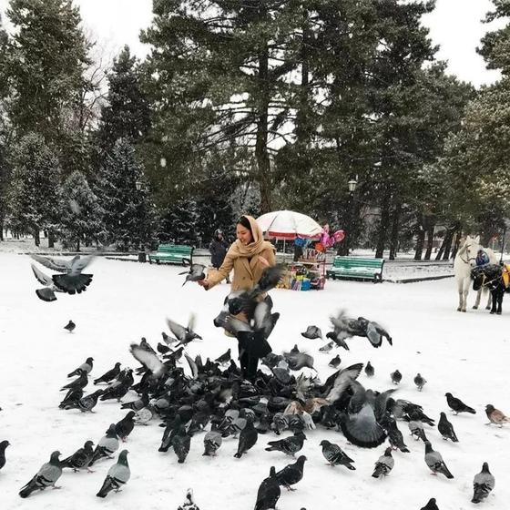 Алматының көздің жауын алар қысқы көрінісі Алматының көздің жауын алар қысқы көрінісі