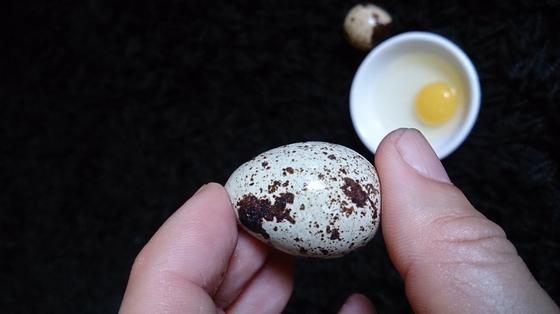 Перепелиные яйца: польза и вред Перепелиные яйца: польза и вред