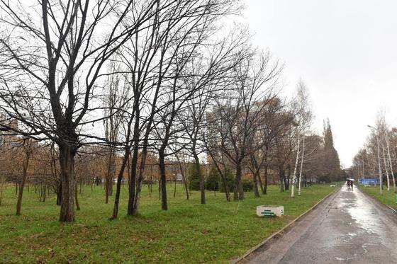 Участок под строительство ЖК в парке «Южный» вернут государству Участок под строительство ЖК в парке «Южный» вернут государству