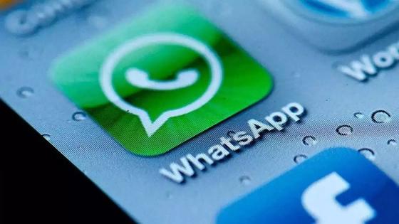 МВД РК прокомментировало рассылку в WhatsApp о попытках похищения детей МВД РК прокомментировало рассылку в WhatsApp о попытках похищения детей