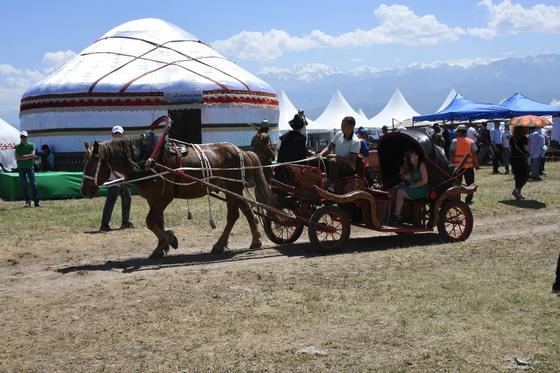 В Алматы проходит международный фестиваль «Ұлы дала – көшпенділер әлемі» В Алматы проходит международный фестиваль «Ұлы дала – көшпенділер әлемі»
