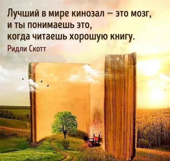 Цитаты про книги и чтение Цитаты про книги и чтение