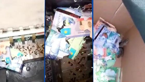 Скриншот видео Скриншот видео