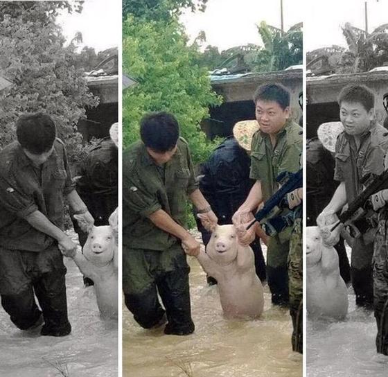 Правдивые фотографии, показывающие как СМИ манипулируют нашим мнением Правдивые фотографии, показывающие как СМИ манипулируют нашим мнением